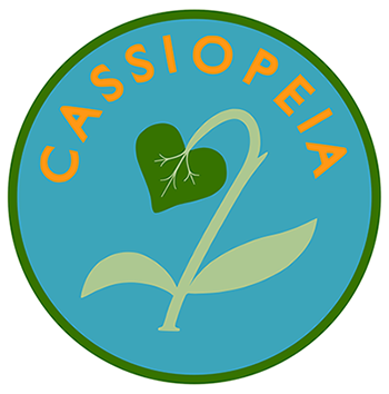 Cassiopeia